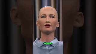 Meet Sophia The Lifelike Robot That Talks Like Humans humanoidrobot [upl. by Yesrej388]