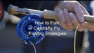 How to Fish Caddisfly Fly Fishing Strategies  GoFishBC [upl. by Nivram872]