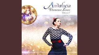 Andalucía Flamenco House Vol 1 Continuous Mix [upl. by Ahsiekan]