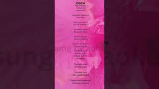 BEEVI lyricsnew new beevi songlyrics music [upl. by Leahcym131]