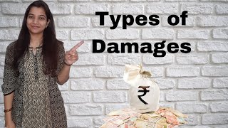 Types of Damages  By Nidhi Baglikar [upl. by Auqenet]