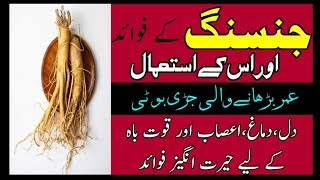 Jinseng Health Benefits for men By Hakeem Zia Shahid [upl. by Baten]