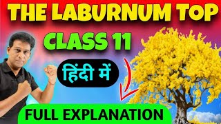 The laburnum top class 11The laburnum top class 11in hindi Detailed Explanation Class 11 English [upl. by Enrobyalc]