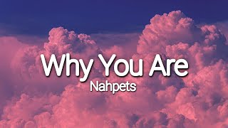 Why you are  Nahpets  Official music Audio [upl. by Towny]