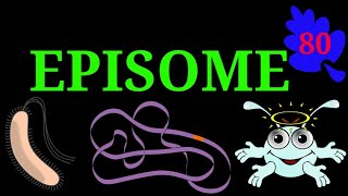 Episome EnteMicrobialWorldmicrobiology microbes bacteria chromosome plasmid genetics dna [upl. by Esiled]