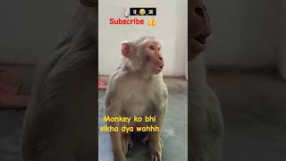 Kya bhai monkey 🐒 ko bhi sikhadya 😁😁🔥🔥 comedy 👍 funny [upl. by Nahgeem922]