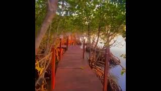 Ekowisata bale mangrove di Lombok Nusa tenggara Barat [upl. by Marchelle]