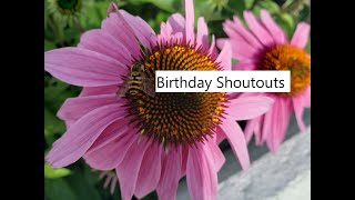 November Birthday Shoutouts [upl. by Isidro]