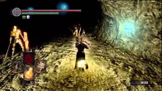 Dark Souls  Catacombs to Nito speedrun [upl. by Yrral859]