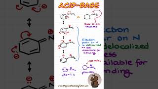 What is MORE basic Aniline vs a simple Amine chemistry organicchemistry [upl. by Eladnyl123]