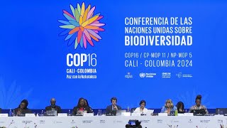 COP16 termina sem acordo para financiar plano de preservação  AFP [upl. by Ecirual961]