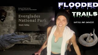 Everglades National Park  Shark Valley  NIGHT 🚲 🐊 [upl. by Niawtna]