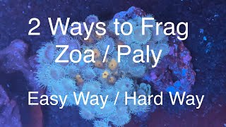 2 Ways to Frag Zoanthids  Palythoas  Zoa  Paly Fragging Saltwater Coral Reef Aquarium [upl. by Bronk243]