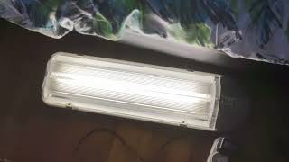 Start up PIERLITE GS214 T5 2 X 14WATT FLUORESCENT STREET LIGHT [upl. by Muna728]