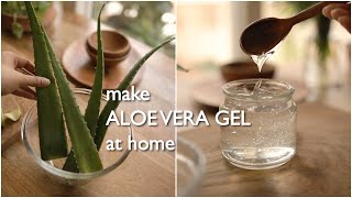 2 ways to make pure organic aloe vera gel at home and preserve for months [upl. by Aneerak]