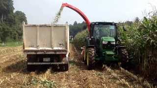 JD6115R＋KEMPER C2200 [upl. by Halonna]