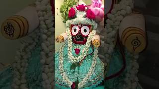 jayjagannath jagannath jaganatha rathyatra puri odiabhajan odiastatus shorts [upl. by Enelyaj944]