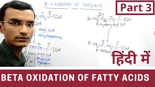 Beta Oxidation of Fatty acids in Hindi  Part 3 [upl. by Llemor]