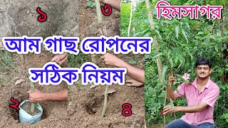 আম গাছ রোপনের সঠিক নিয়ম The Right methods for planting Mango trees  Baganbilas [upl. by Attemaj]