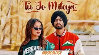 Tu jo mileya  New Punjabi song 2024 slowed reverb [upl. by Pesvoh]