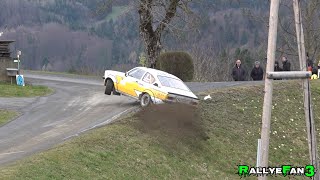 Rebenland Rallye 2024  Max Attack  Jumps  Mistake [upl. by Birch]