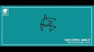 TIGER STRIPES  MOAN ORIGINAL MIX [upl. by Mayfield]