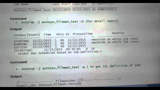 Unix Autosys Job Autorep Commands [upl. by Ahcorb]