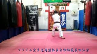 Kyokushinkaikan Karate  Kata Pin An Sono Ni [upl. by Aisenet236]