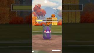 When I used Morpeko in battle with form change 😳 Pokemon go [upl. by Eilerua]