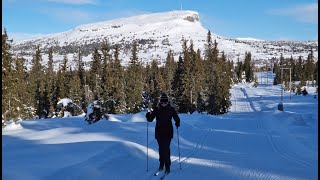 Vakantie naar Noorwegen in de winter Skiën en langlaufen als een beginner in Noorwegen [upl. by Airbmat159]