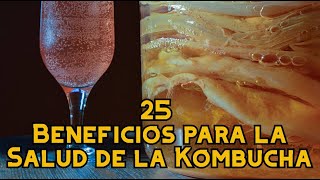 25 Beneficios para la Salud de la Kombucha [upl. by Mohandis204]