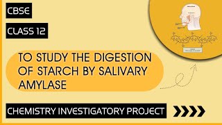 Chemistry Investigatory Project on To Study the Digestion of Starch by Salivary Amylase [upl. by Llehcal]