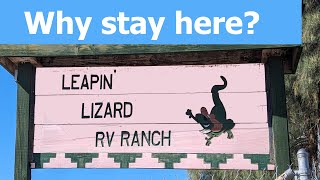 LEAPIN LIZARD RV RANCH  Ocotillo Wells amp Borrego Springs  Chili CookOff amp RV Park Review [upl. by Allana226]