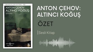 Anton Çehov Altıncı Koğuş Detaylı Özet  Podcast [upl. by Ecnerolf437]