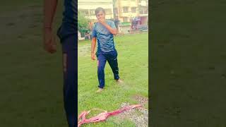 kamal Nayak Martial arts 🔥🔥terror exercise for kunfu traning marvelous in something crazy action 🥋 [upl. by Margery]