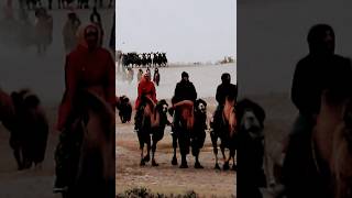 Bactriancamel twohumped camel native steppes lehladakh nubravalley incredibleindia travel [upl. by Desmond]