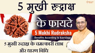 पांच मुखी रुद्राक्ष के फायदे और विधि  Benefits of Panch Mukhi Rudraksha  Astrology [upl. by Noyr]