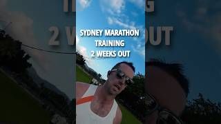 The First Taper Week Training Diaries Week 36 sydneymarathon marathon runningmotivation [upl. by Gabrielson]