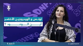 تونس و الهيدروجين الأخضر أين الوعود ؟ [upl. by Ennovi]