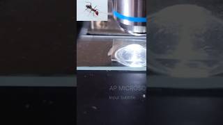 AP MICROSCOPE 52microscope microccopvideohowtomicroscopvideo [upl. by Ummersen]