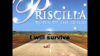 Priscilla Mega Mix  Priscilla queen of the desert  Backing track  Karaoke [upl. by Tedmann]