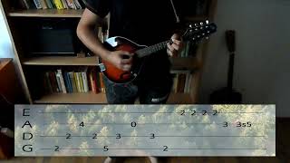 Nirvana  Heart Shaped Box on mandolin with tabs [upl. by Nonnair]