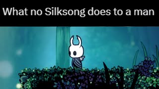 The Hollow Knight Community is a Bit Silly [upl. by Lutero]