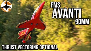 Thrust Vectored Awesomeness  FMS Avanti 90mm EDF Jet Review [upl. by Sager]