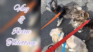 Vlog et revue toilettage  Nice Pet Riviera 🐶🖤 [upl. by Midian]