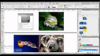 Video tutorial InDesign CS6 come creare un book sfogliabile [upl. by Sheri]