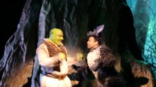 SHREK  DAS MUSICAL quotHeut ist der Tagquot quotWanderliedquot und quotFreie Fahrt für Freaksquot [upl. by Hennie]