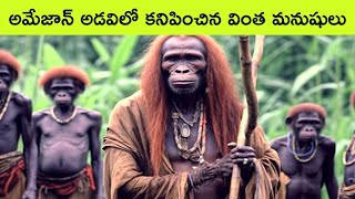 Unsolved mysteries of Amazon forest  strange creatures of amazon forest  facts in telugu [upl. by Vinn]