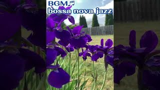 Bossa nova jazz ambiance The finest bossa nova jazz music [upl. by Hailey646]