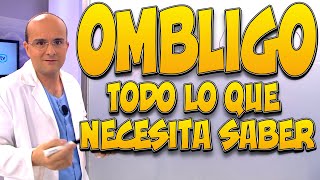 OMBLIGO ¿QUÉ es CÓMO se FORMA para qué SIRVE [upl. by Apicella743]